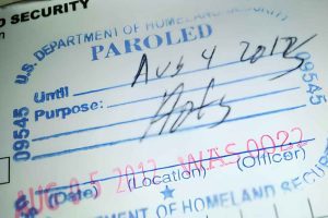 Close-up of a DHS paroled admission stamp illustrating advance parole travel risks.